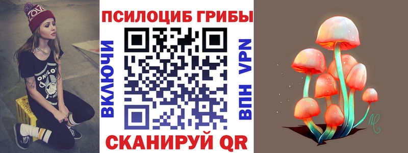 Псилоцибиновые грибы мицелий  Купить  Дубна 